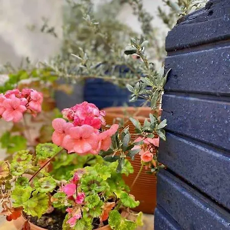 Дом отдыха Yaka Tas Ev - Datca Palamutbuekue'ne Cok Yakin Oezel Tas Ev Yaka (Mugla)